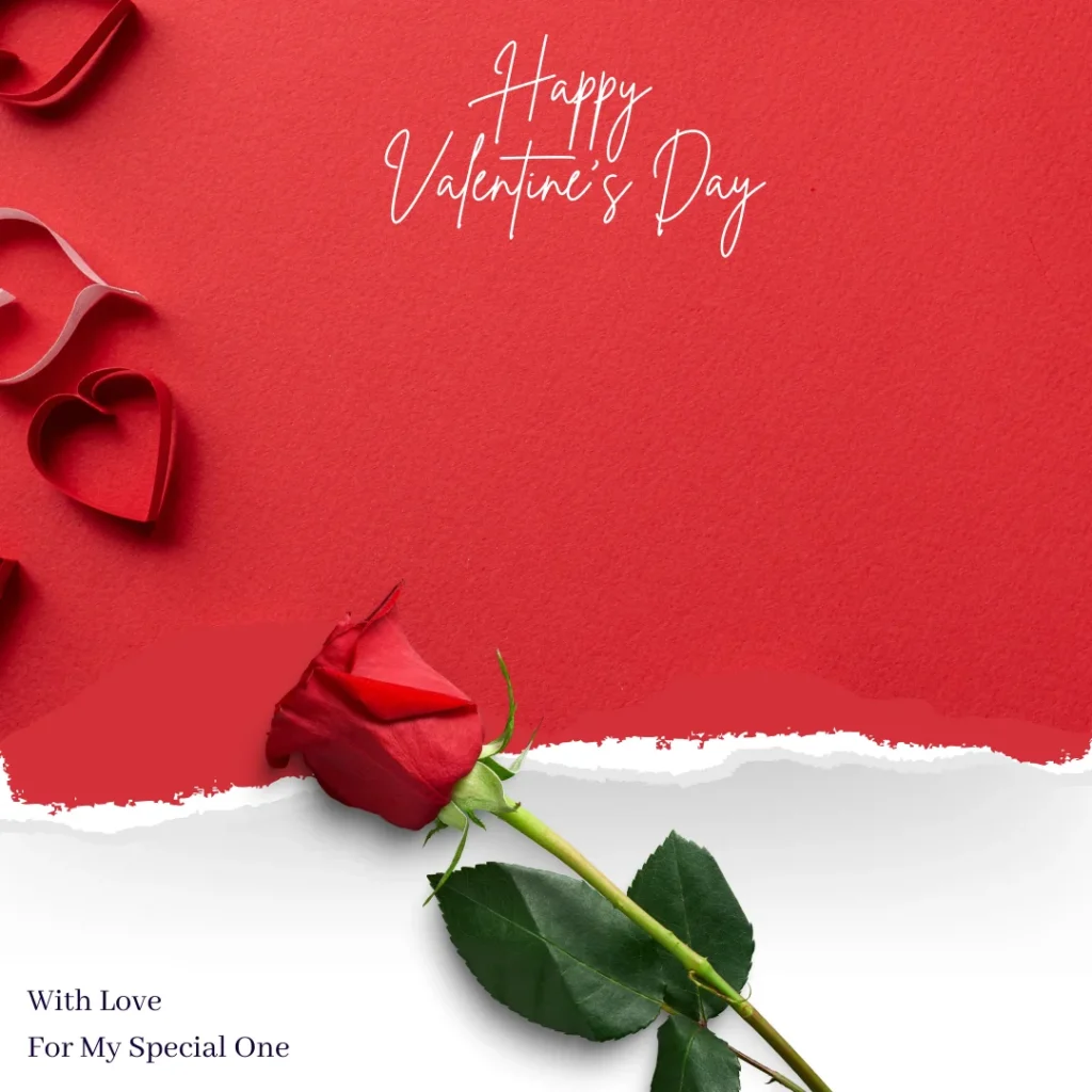 #6 Cover image to add your own Valentines Day shayari in hindi or english