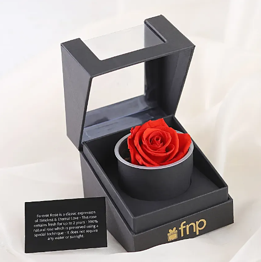 Forever Red Rose by FNP for Valentine's Day