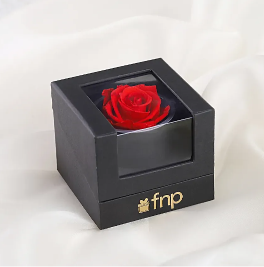 Forever Red Rose by FNP for Valentine's Day in a box