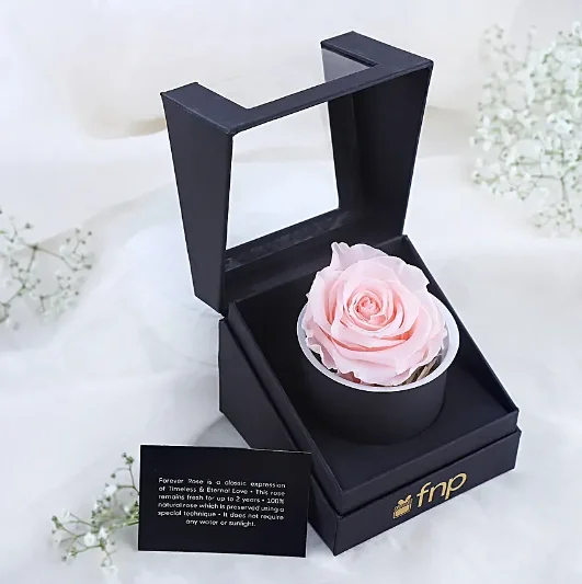 Forever Blush Pink Rose by FNP for Valentine's Day
