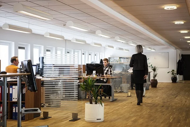 How Office Cubicles Have Evolved: From Privacy Pods to Collaborative Spaces 2 office cubicle