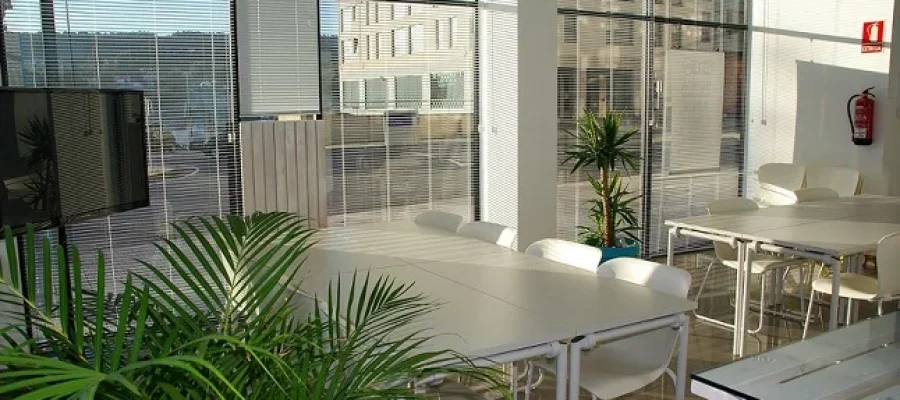 How Office Cubicles Have Evolved: From Privacy Pods to Collaborative Spaces