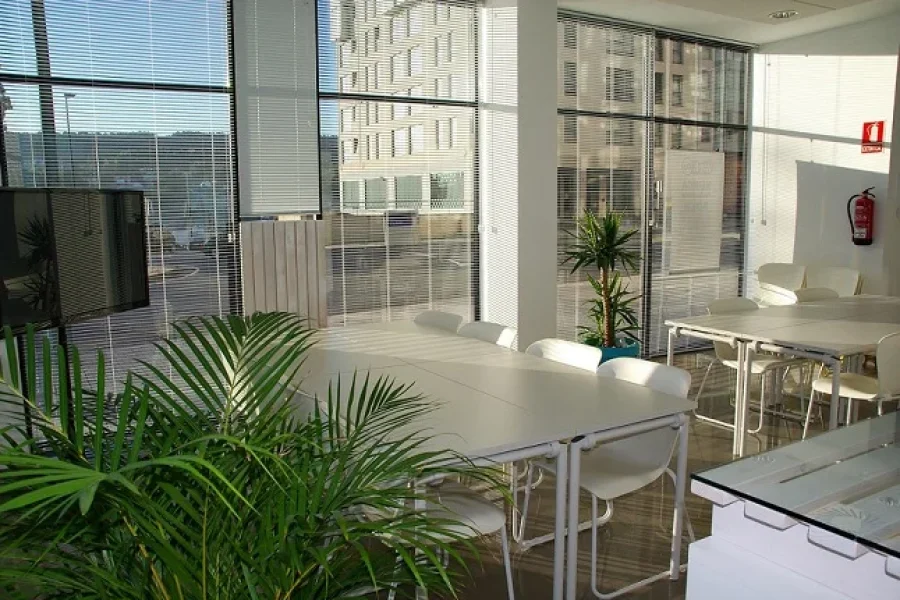 Home V3 1 How Office Cubicles Have Evolved: From Privacy Pods to Collaborative Spaces
