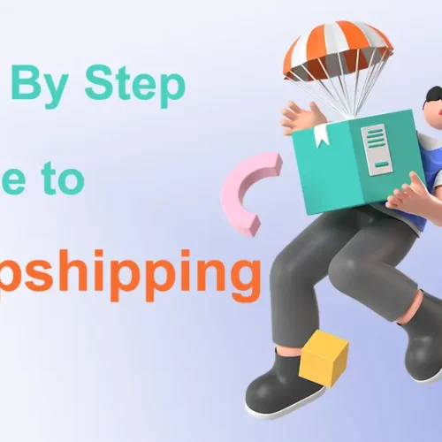 Dropship Insight: Step-by-Step Guide to Dropshipping